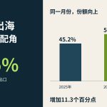 新能源车出海，小车拿走了多少份额：数据设计封面